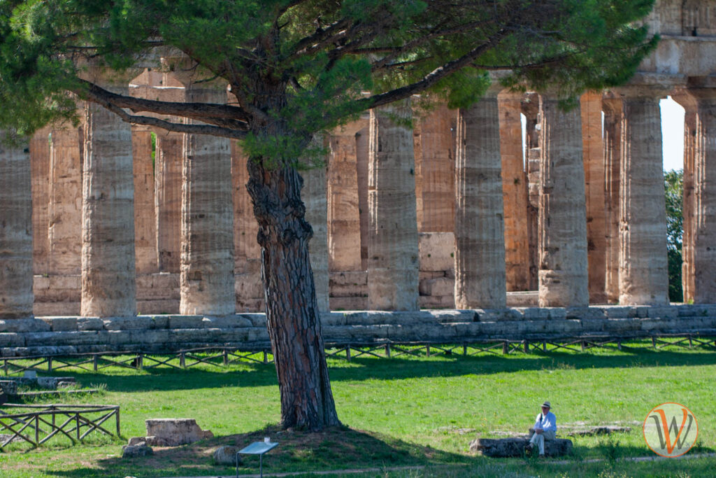 Säulen eines griechischen Tempels, davor ein Baum, in dessen Schatten ein Mann sitzt