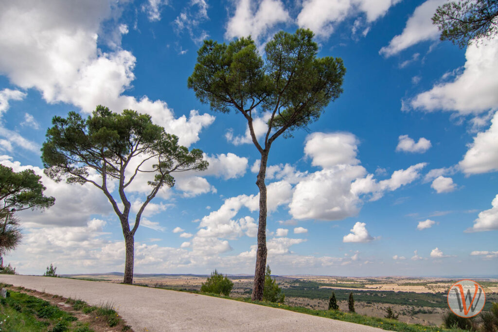 Italienische Landschaft mit Bäumen und einer weiten Landschaft, der Himmel ist voller Wolken