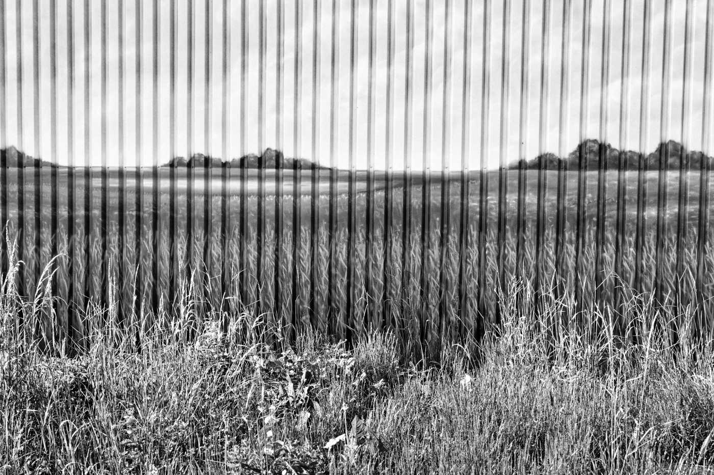 Hinter einer Wiese zeigt sich eine Wand aus Profilblech, die mit einem Bild von einer Wiese und einer Landschaft verziert ist