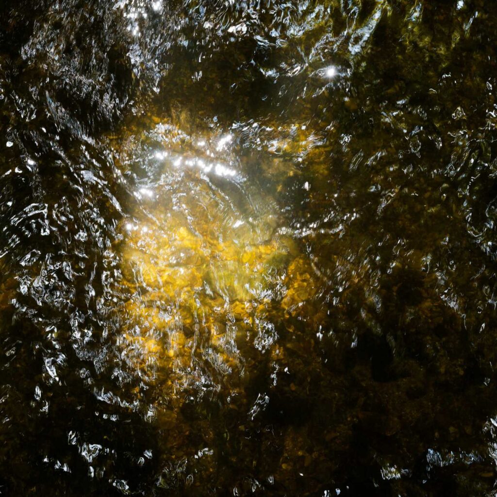 Die Sonne spiegelt sich gelb im Wasser des Kocher, eines Flusses auf der Alb