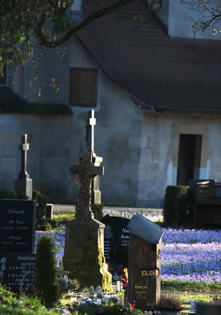 Krokusblüte St. Leonhard-Friedhof Schwäbisch Gmünd