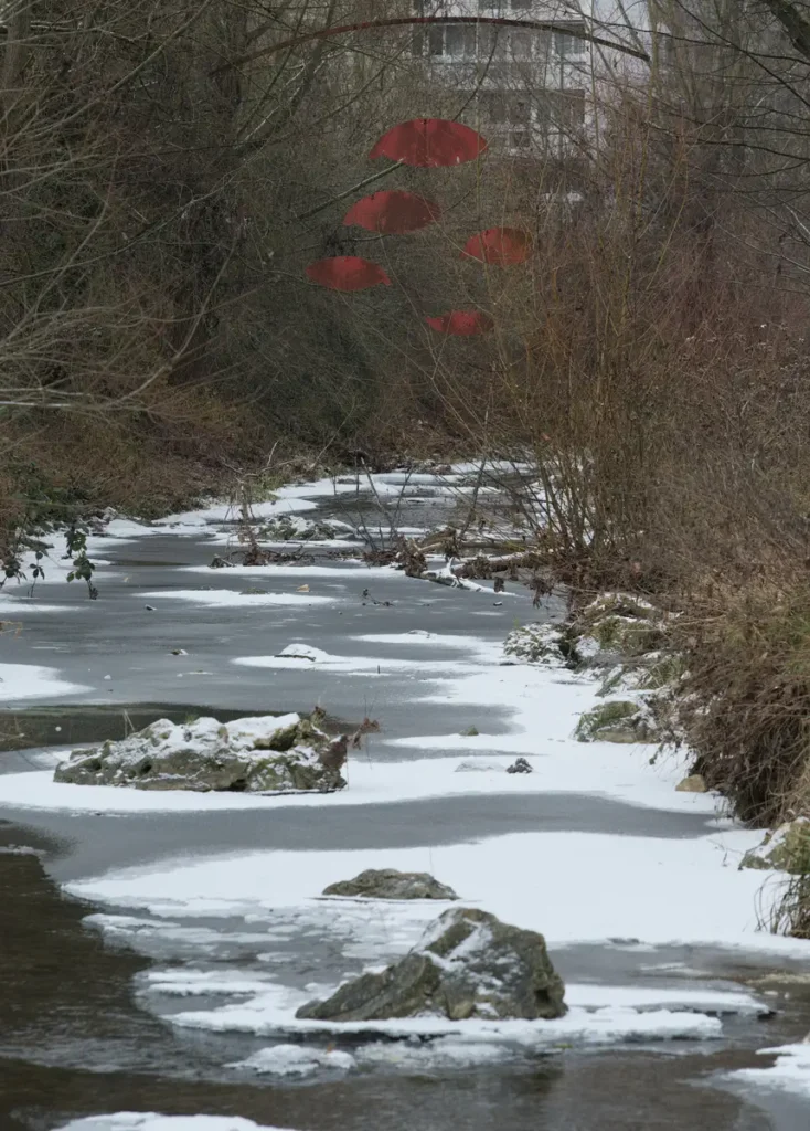 Ein Bach ist zugefroren