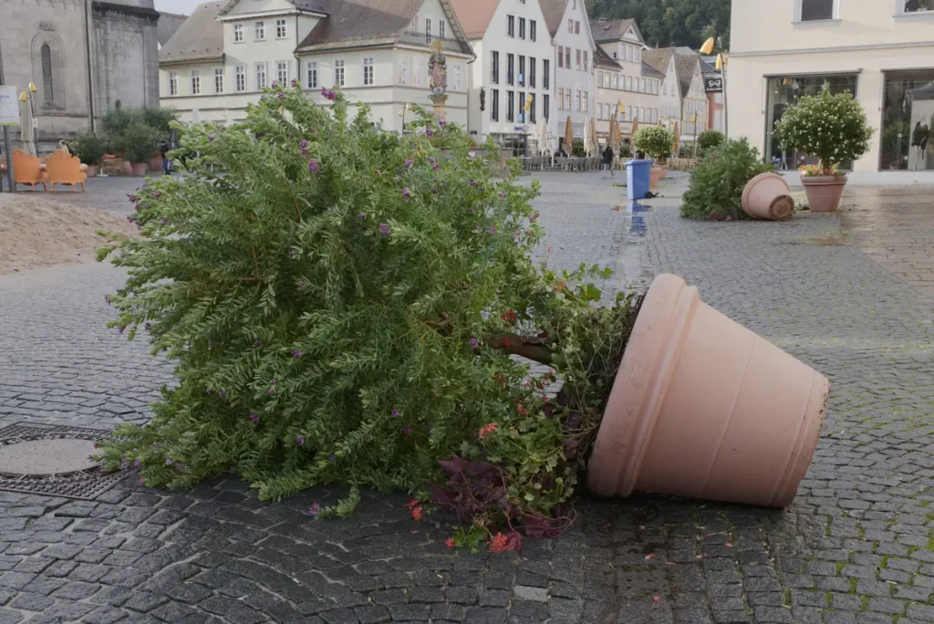 Umgestürzter großer Pflanzenkübel auf dem Markt